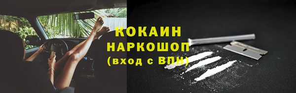 ешки Белокуриха