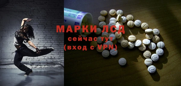 ешки Белокуриха