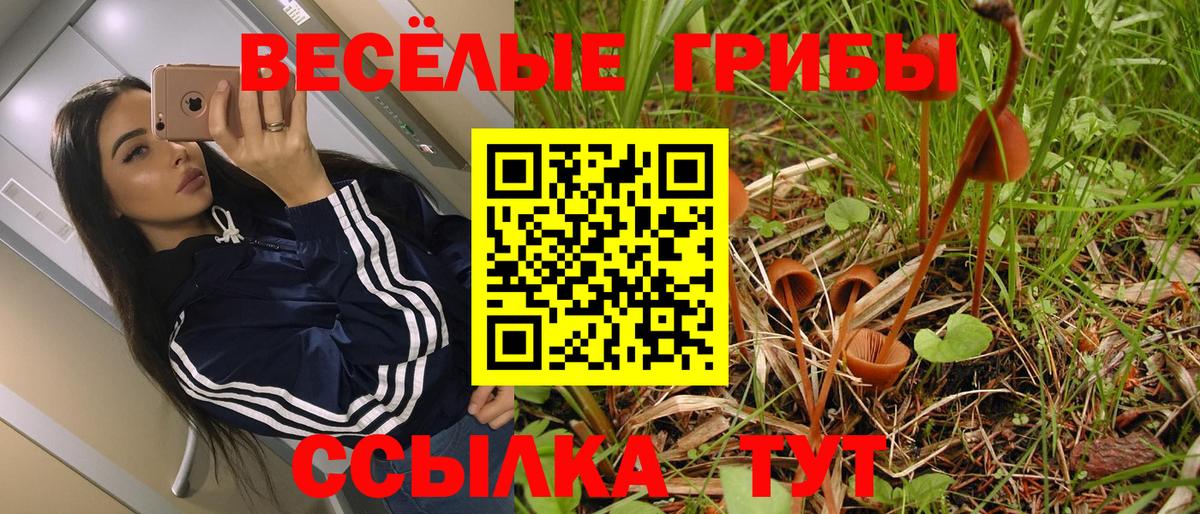 Галлюциногенные грибы MAGIC MUSHROOMS Великие Луки